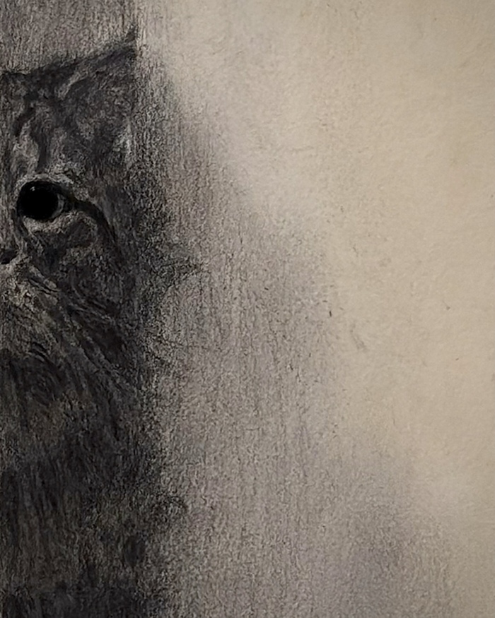 ����� �����.