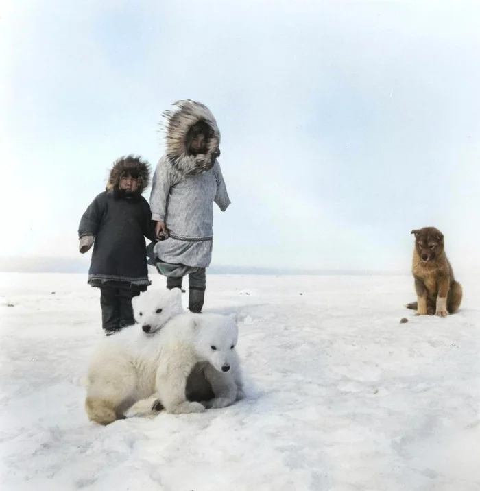 Подборка интересных и необычных фотографий из США. 20 раскрашенных фотографий ХХ века. Часть XIX Историческое фото, Старое фото, 20 век, США, Фотография, Колоризация, Длиннопост