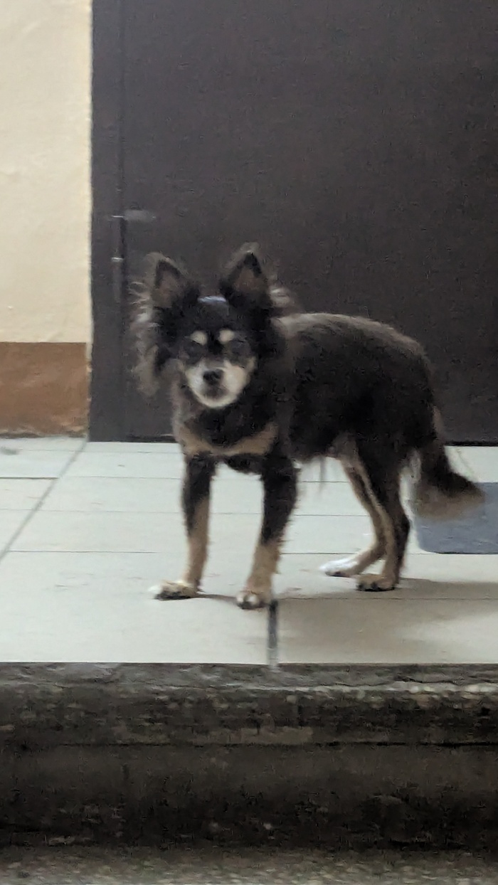 ��� ������