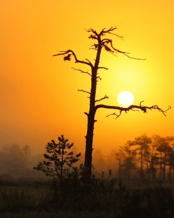 Сфоткай, типа, держу солнце