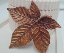 ����������������