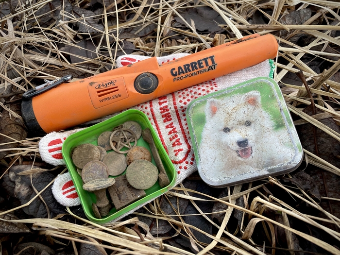 Честный отзыв о пинпойнтере PRO-pointer AT Z-Link от Garrett: подводные камни и плюшки в использовании