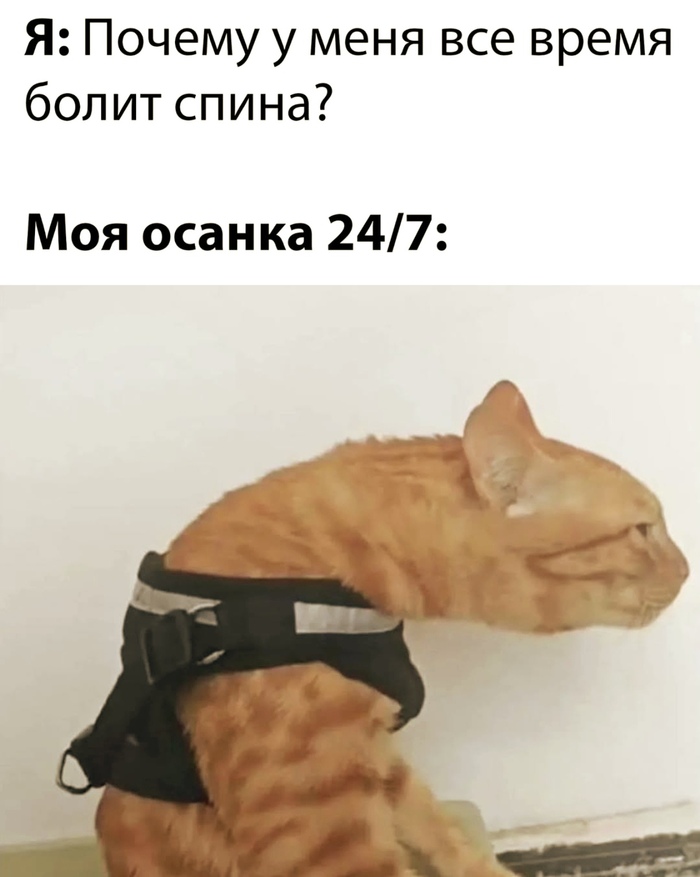 , ? ,  , ,   , , 