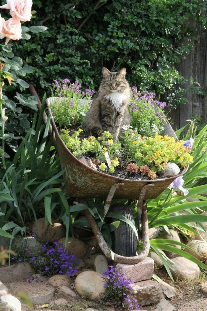 �� � ��� �� ��� �� ��� �������?! (���� ���� ���������, ������������ ����������, ���).