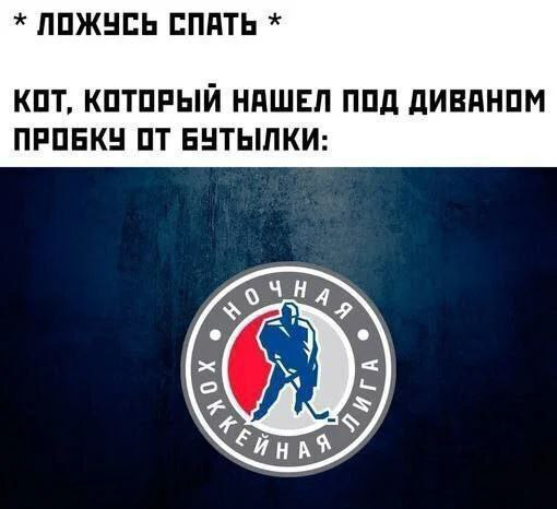 У них свой НХЛ