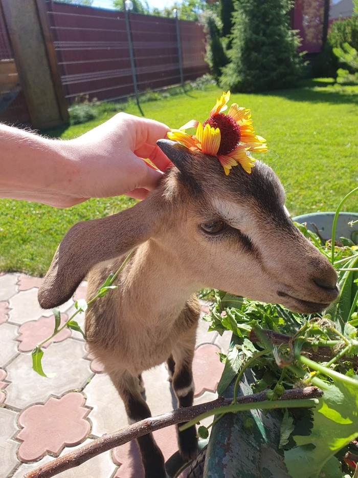 ������������ ��� ����� �� ������� - �� � ��� �� �����