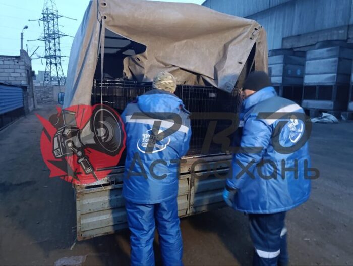 ������� � �������: ������������ �������� �� ��������� � ������������ ������� ���������� ����������