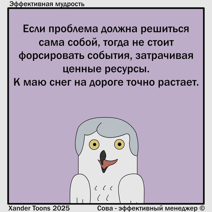            -  , Xander Toons, , , ,  , 