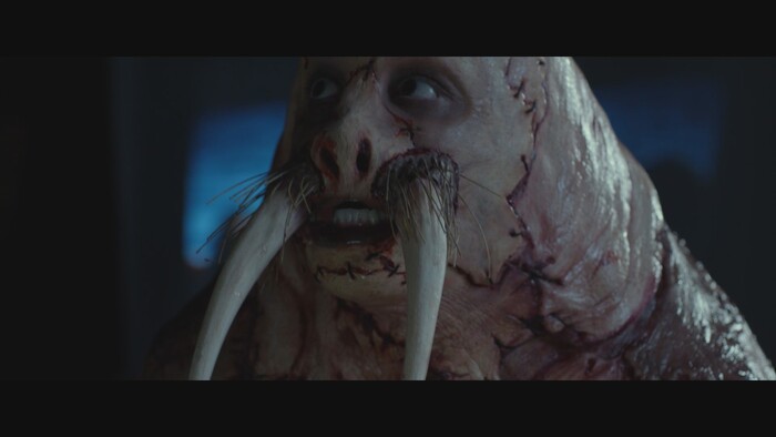 ��� ��������� ����� - ������� !