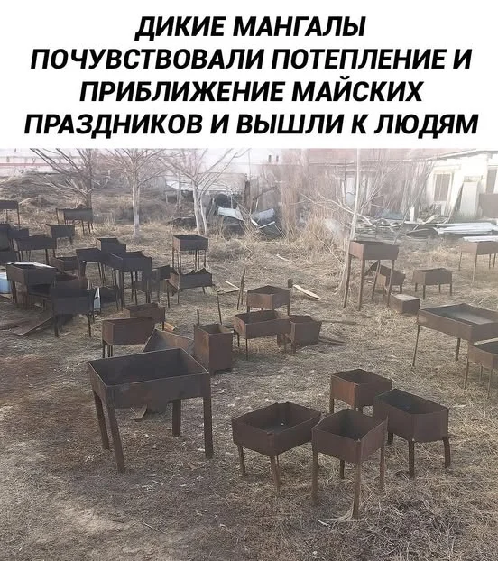 Мы их согреем и накормим мясом Мангал, Юмор, Картинка с текстом, Майские праздники