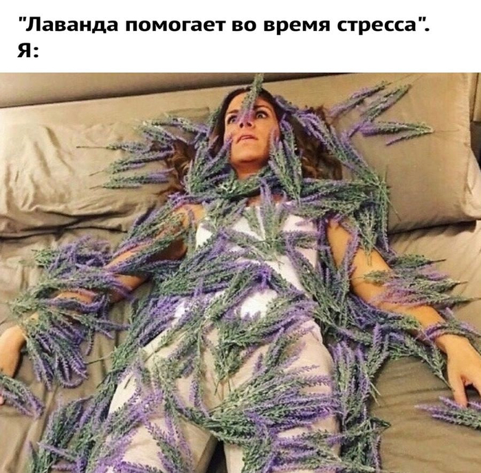     , , , , , , , , , , , , 