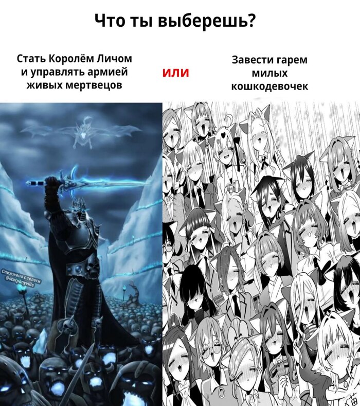 ... ... ,  ,   , , , World of Warcraft, The Lich Kings Frostmourne, Kimi No Koto Ga Dai Dai Dai Dai Daisuki Na 100-Nin, ,  , Telegram ()