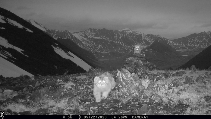    &#xEB;    !     &#xEB;      ,      ,   ,       .