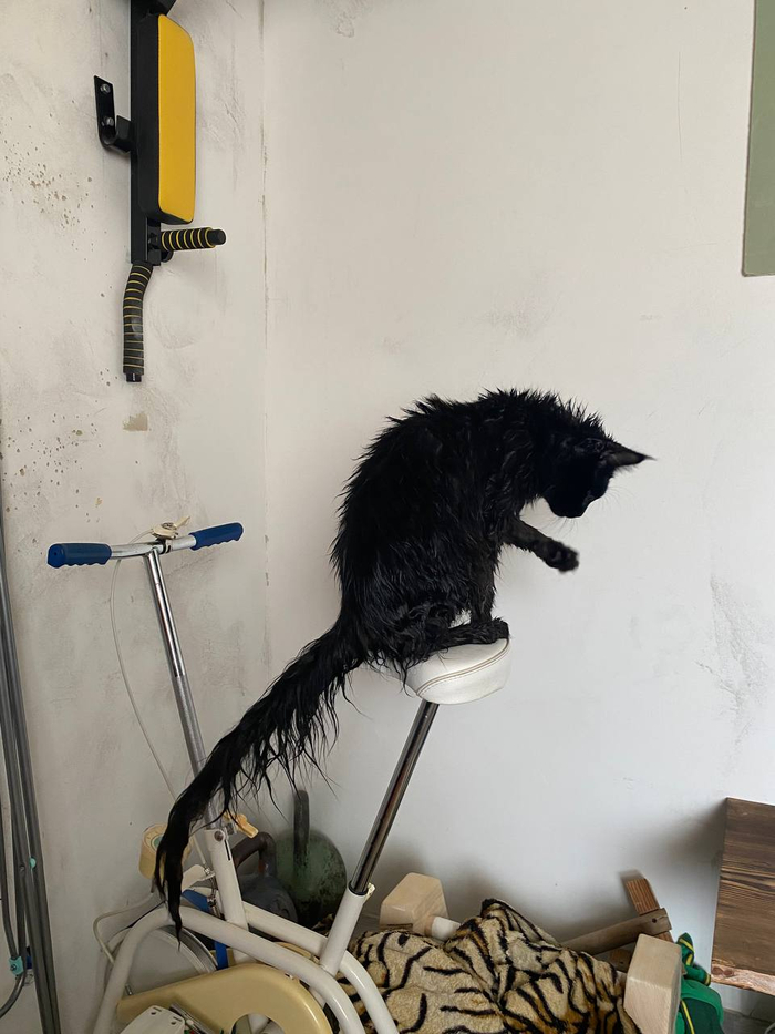 "  "    , ,   , , ,  ,  , 