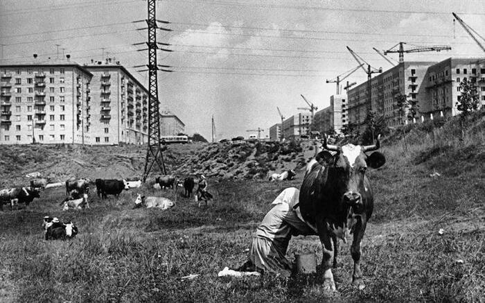  . :  , 1958 , . , 