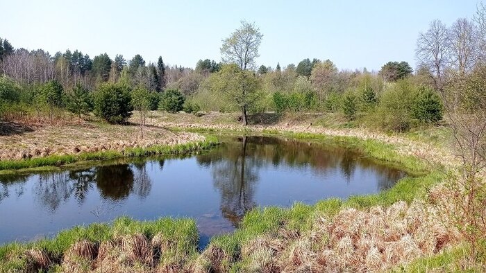 ������������� ����� ������ ���� ������. ����: ���� ��������