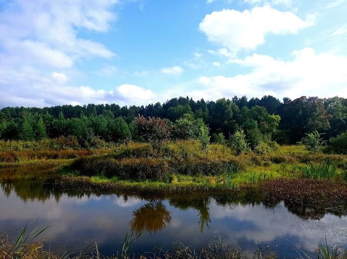 ������������� ����� ������ ���� ������. ����: ���� ��������