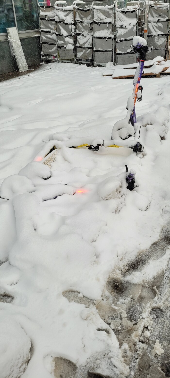 Занесённые снегом