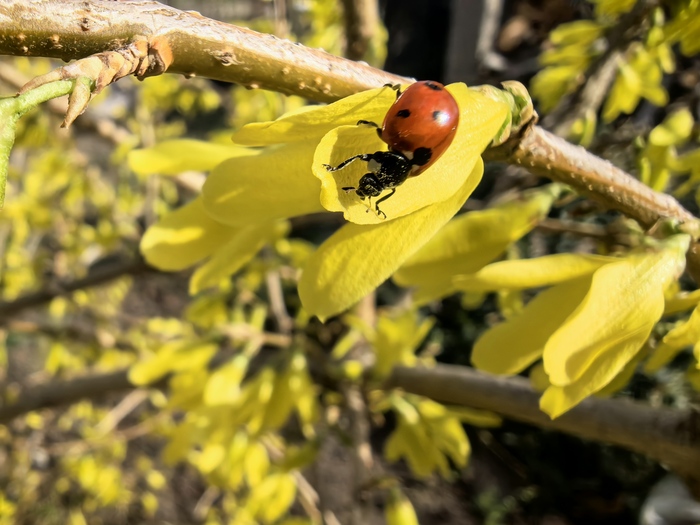 �������� � �������� 