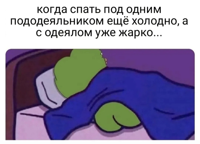   ? , , , , It Is Wednesday My Dudes, , , ,   , , ,   , Pepe
