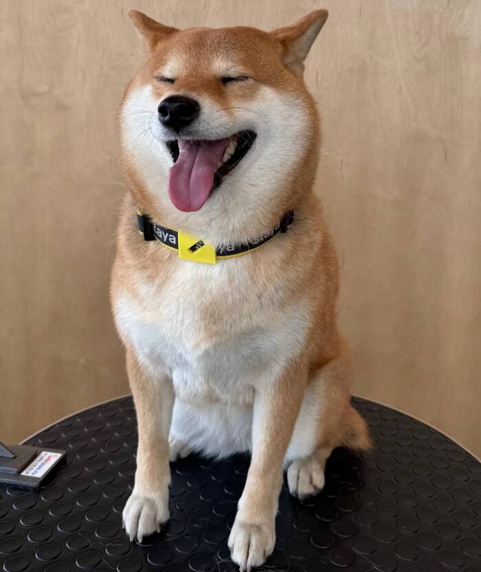        , ,   , -, , , , ,  ,  ,  , 