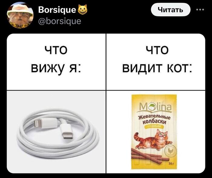 ��� ������...