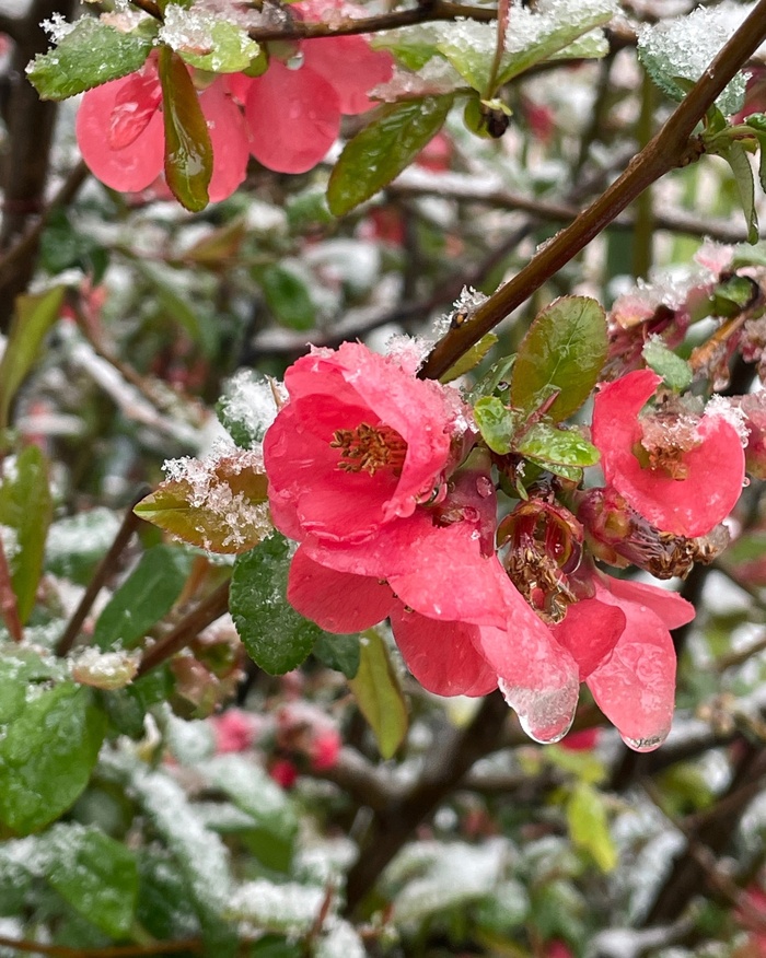 Фото А. Хмель.