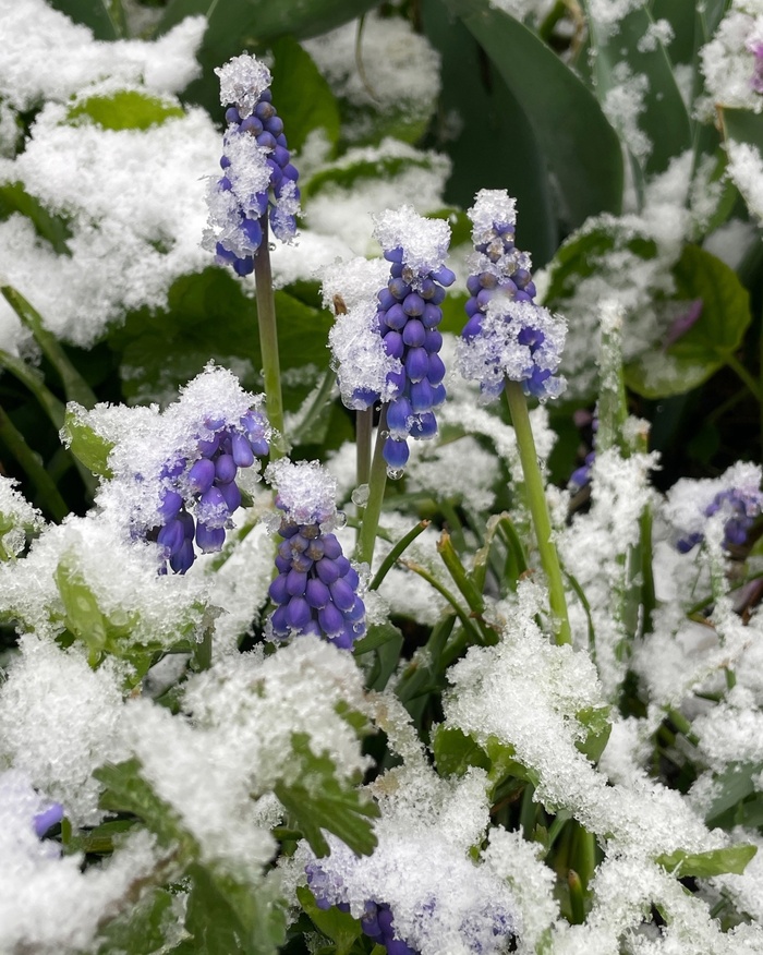 Фото А. Хмель.