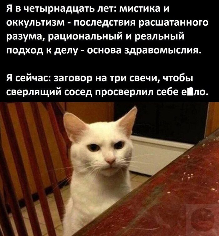 -   ...-  ?- , ,  