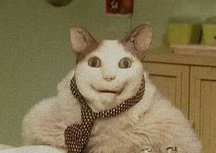 *    ,       , , , , ,  