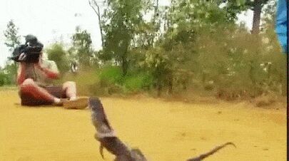    ,   , , , 