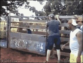     ,   , , , 