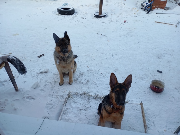 ����� ������ � ���� � ����� �������� � ���