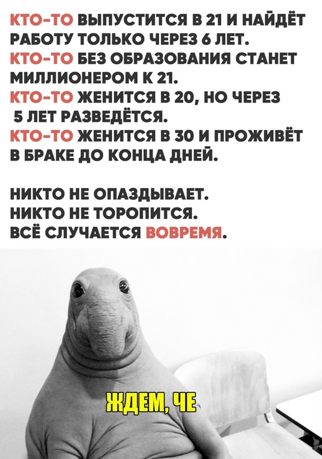   , , , 