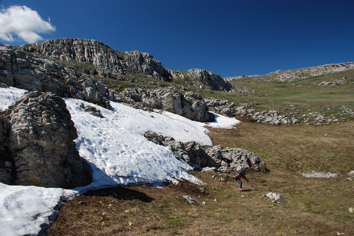 2010-05-03 14:56, , -.