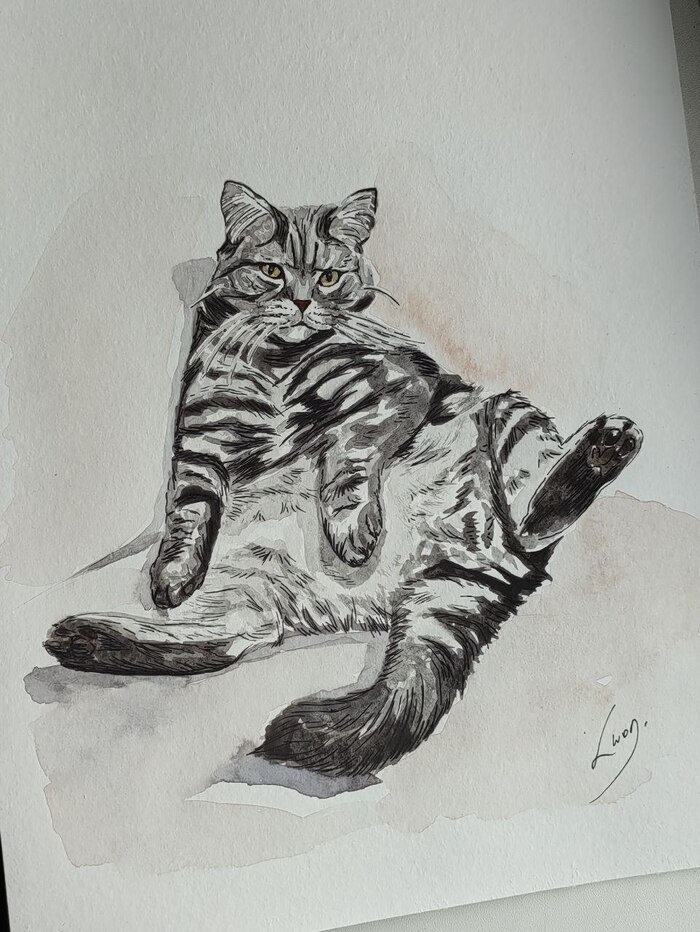 ��������+����� (������ 21*26.5��)