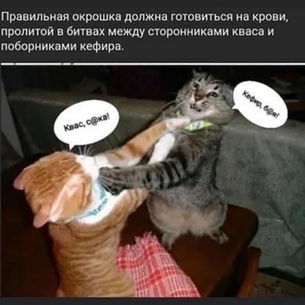 Ответ на пост «Коварное нападение окрошкоманов»
