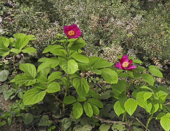 Фото Л. Головневой.