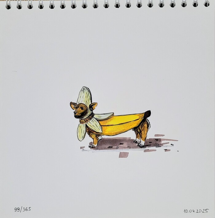    "  ". 99/365 , , , , 