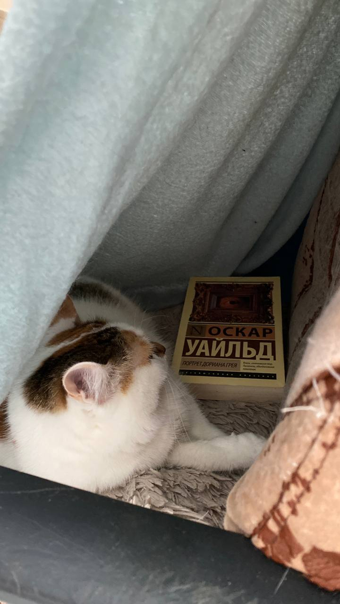 (Не подшматривай)