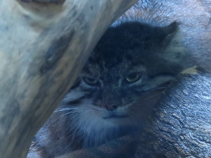 Уходите...я не в настроении...