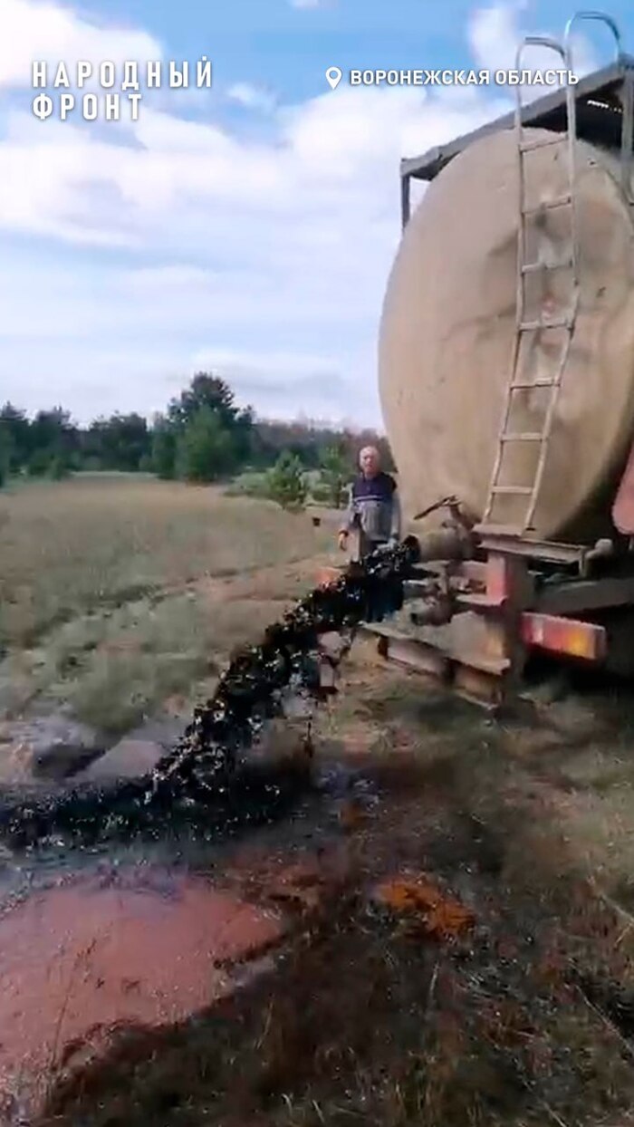 Региональная эколслужба начала расследование по факту слива жидких отходов в Репьевском районе