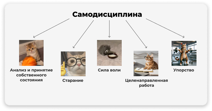   : 5      , ,  , , , , 