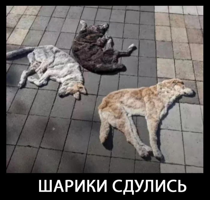   ,   , Reddit, , , , , 