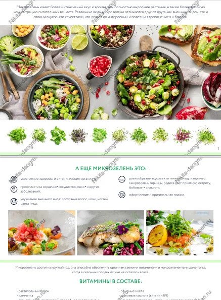 Where to look for customers to sell greens, salad microgreens, herbs and edible flowers. Who to sell to, what is the cost price and markup - Hydroponics, Telegram (link), Longpost, Salad, Greenery, Plant growing, Vertical Truss, Spices, Microgreens, Production