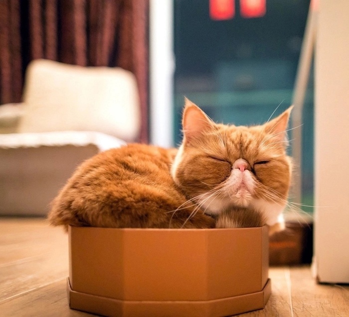 Познал дзен