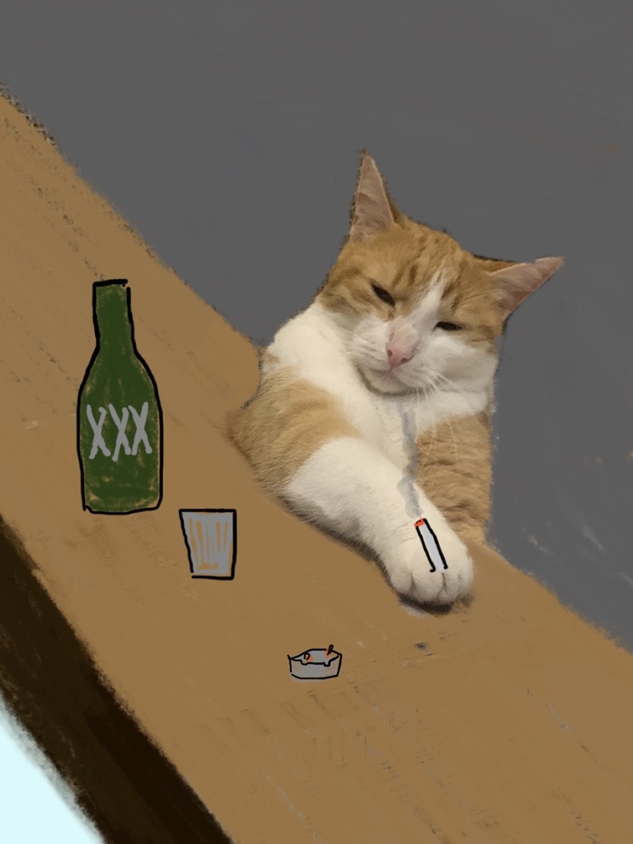  !!!   (), , , , , ,  , 