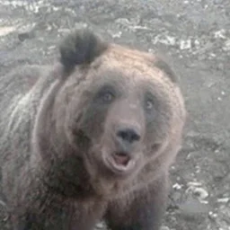 Domovoi.Ku
