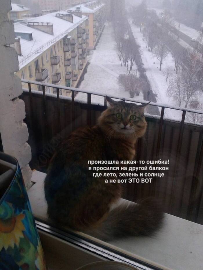      2025-: , , ,   , , , 