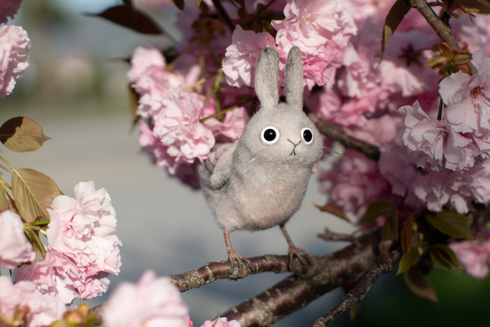 ,   ,    ,   , 